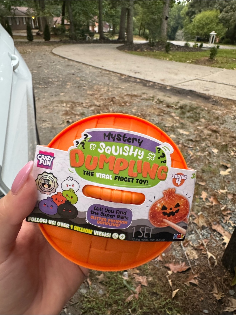 2026 Halloween RMS dumpling